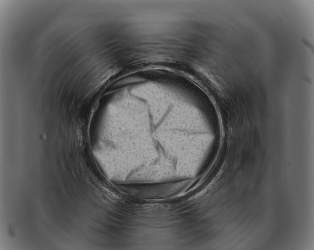 X0000091671305200709131521