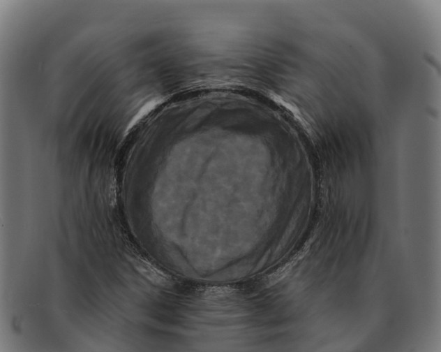 X0000091671306200709131521