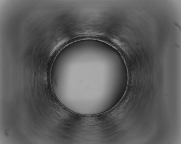 X0000091671307200709131521