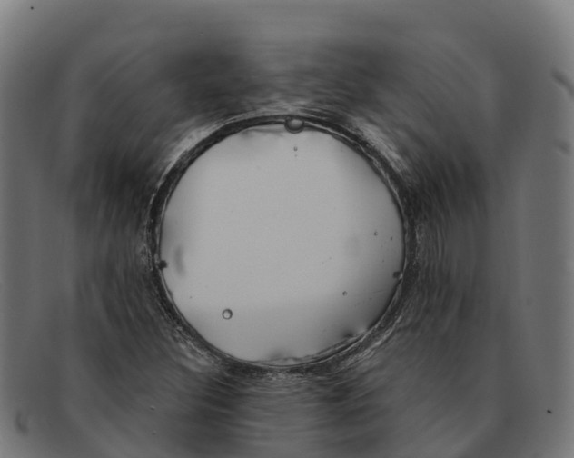 X0000091671308200709131521