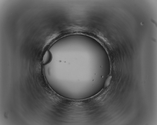 X0000091671309200709131521