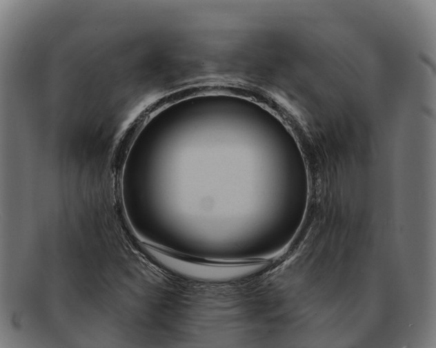 X0000091671310200709131521