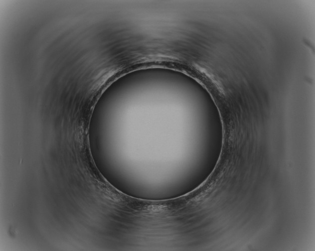 X0000091671313200709131521