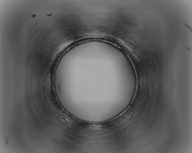 X0000091671315200709131521