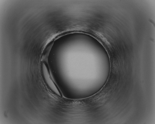 X0000091671316200709131521