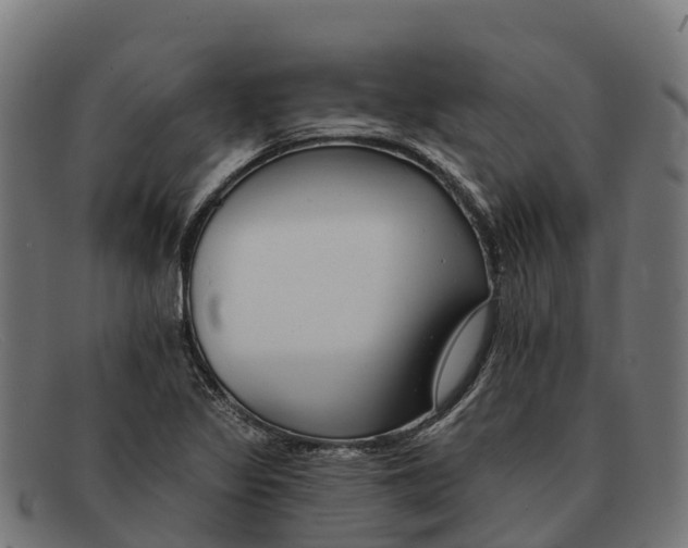 X0000091671317200709131521