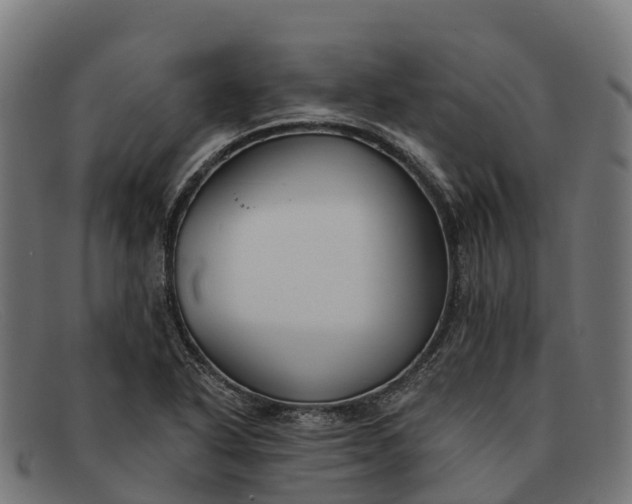 X0000091671318200709131521