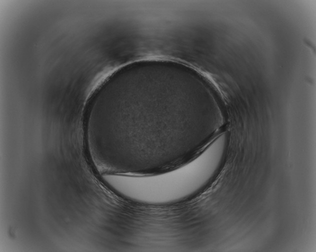 X0000091671319200709131521