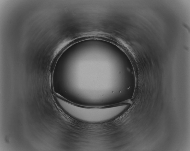 X0000091671320200709131521