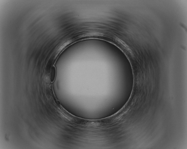 X0000091671321200709131521