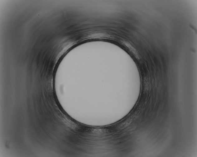 X0000091671322200709131521