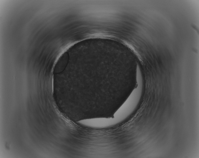 X0000091671323200709131521