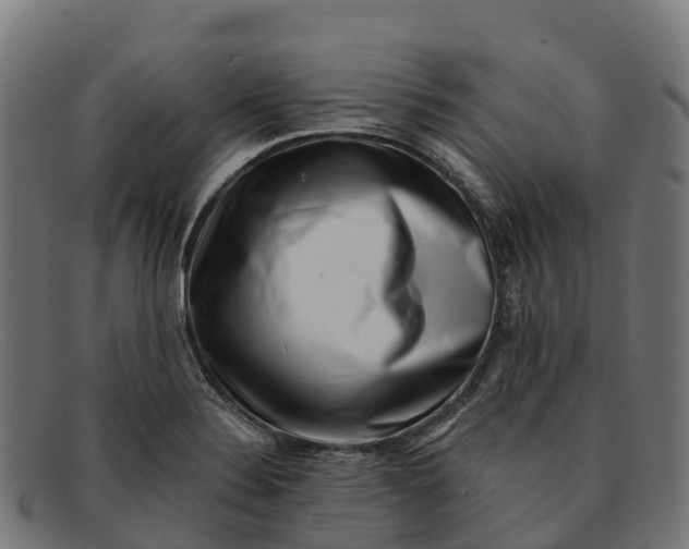 X0000091671324200709131521