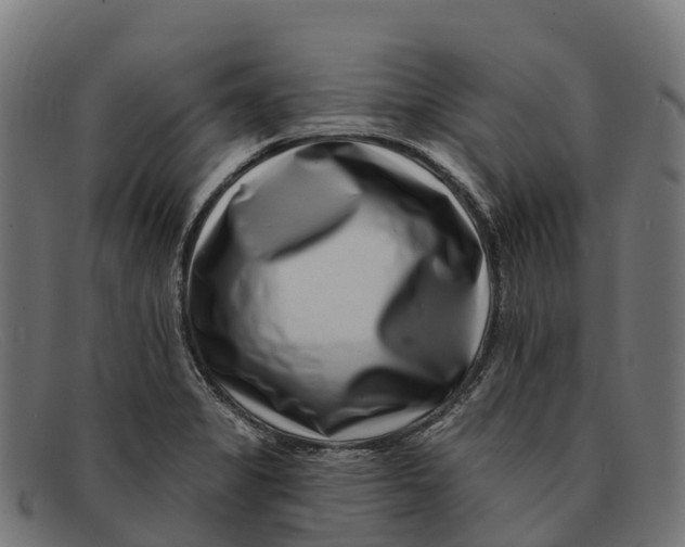 X0000091671325200709131521