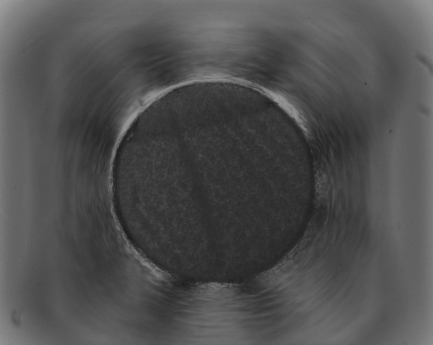 X0000091671327200709131521