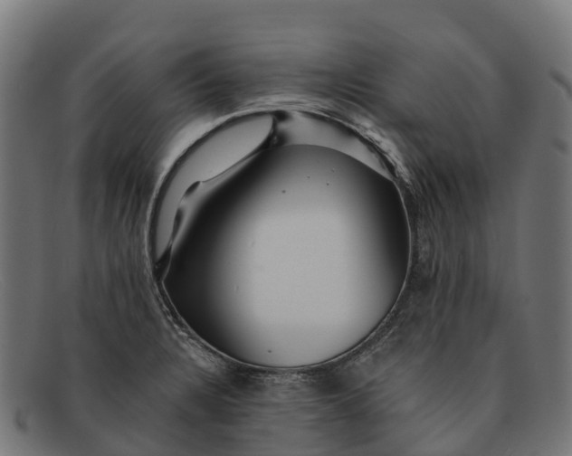 X0000091671328200709131521