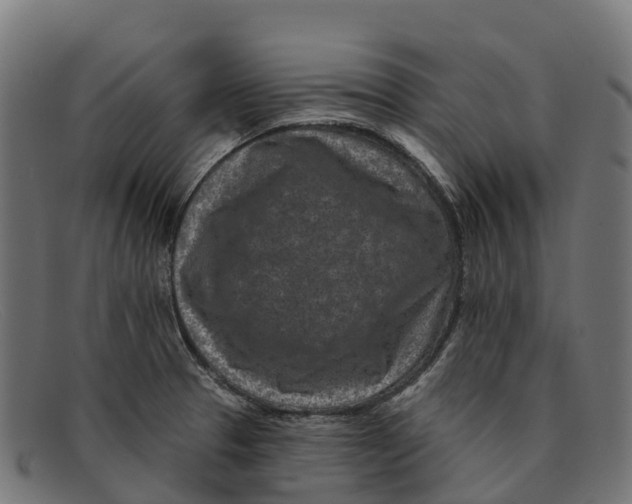 X0000091671329200709131521