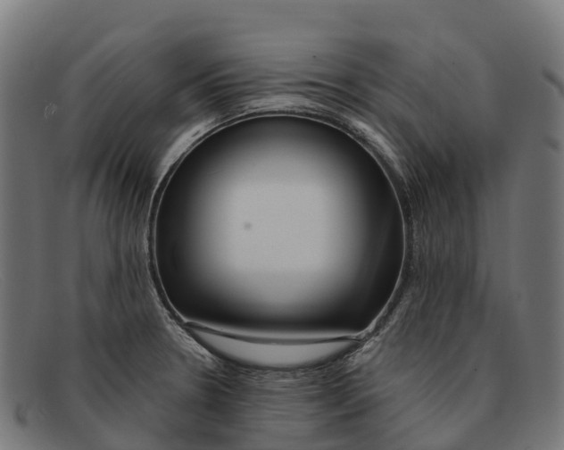 X0000091671330200709131521