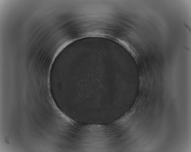 X0000091671331200709131521