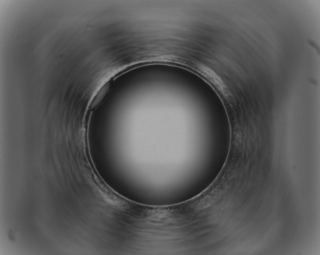 X0000091671332200709131521