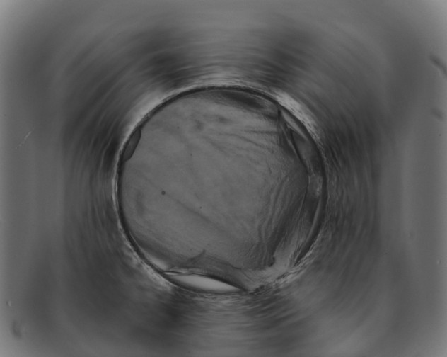 X0000091671334200709131521