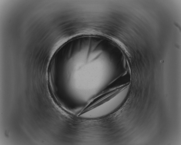 X0000091671335200709131521