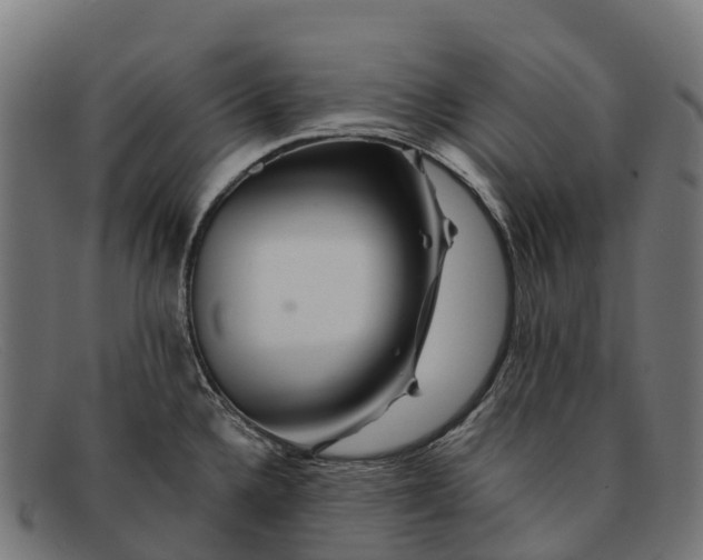 X0000091671336200709131521