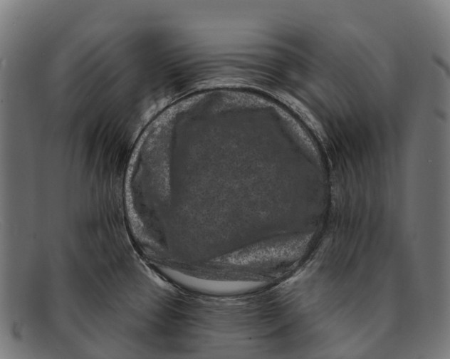 X0000091671337200709131521