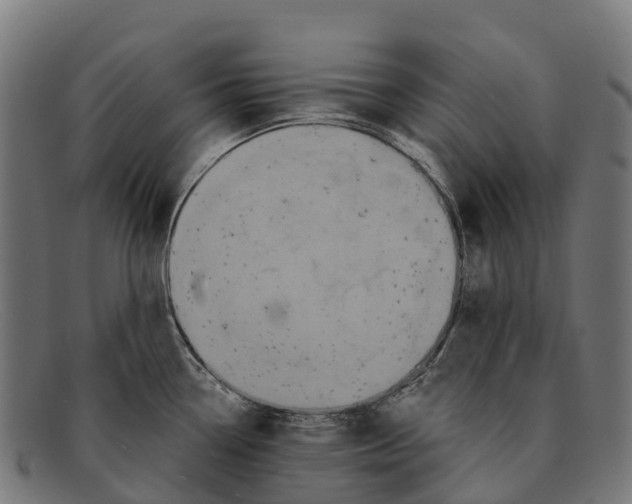 X0000091671338200709131521