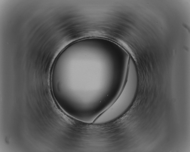 X0000091671339200709131521