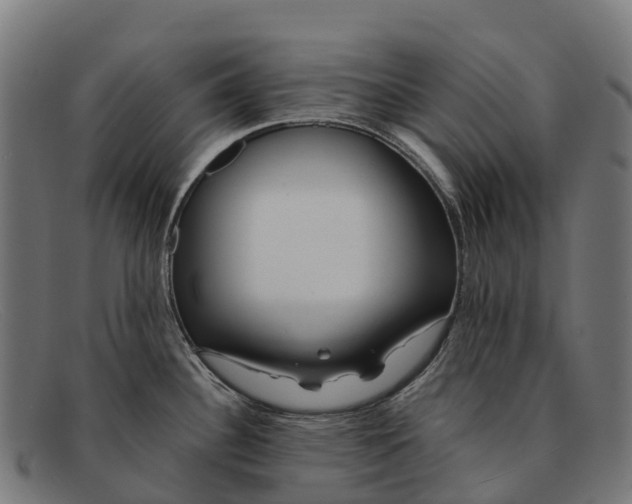 X0000091671340200709131521