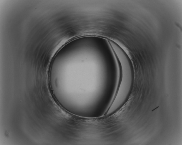 X0000091671341200709131521