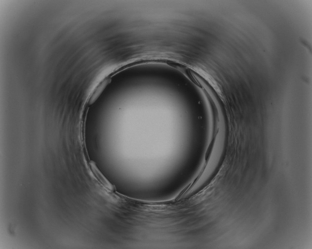 X0000091671342200709131521