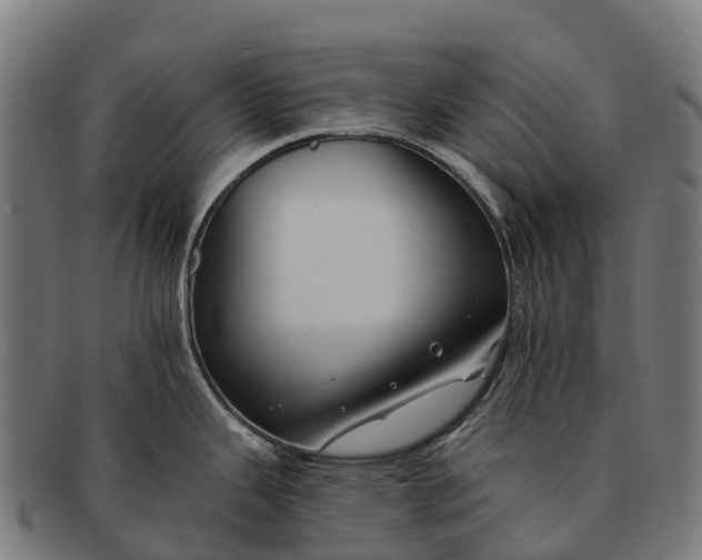 X0000091671343200709131521