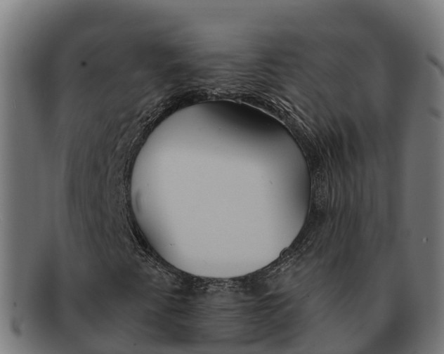 X0000091671345200709131521