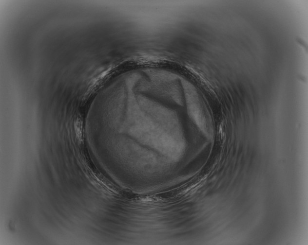 X0000091671348200709131521