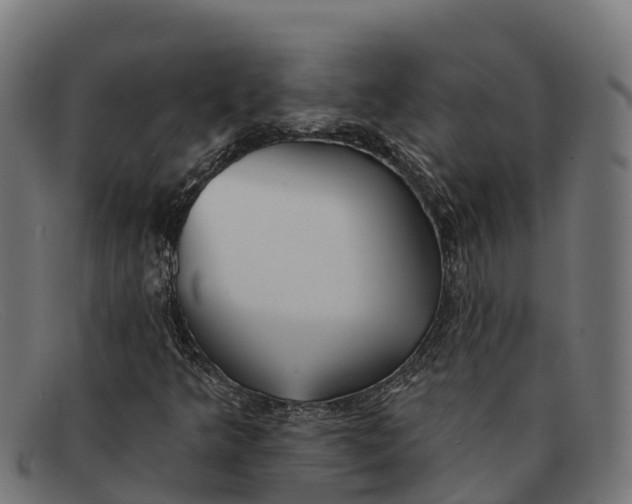 X0000091671349200709131521