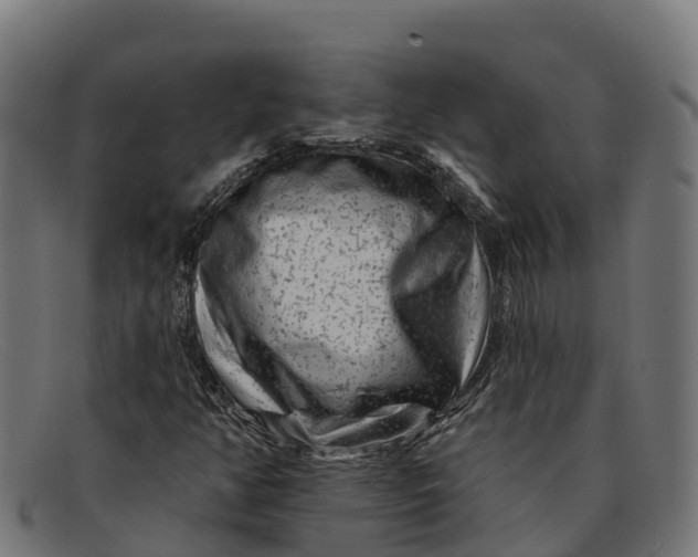 X0000091671350200709131521