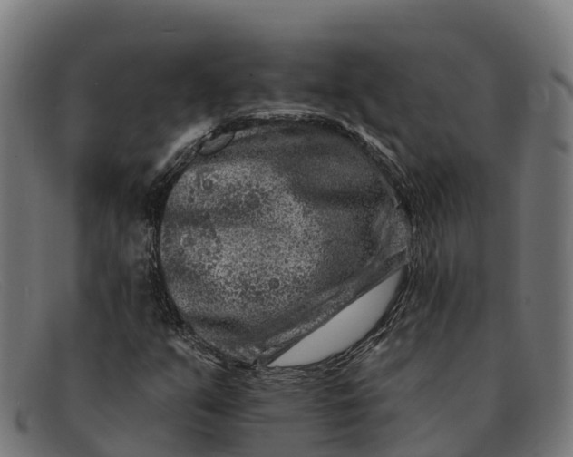 X0000091671351200709131521