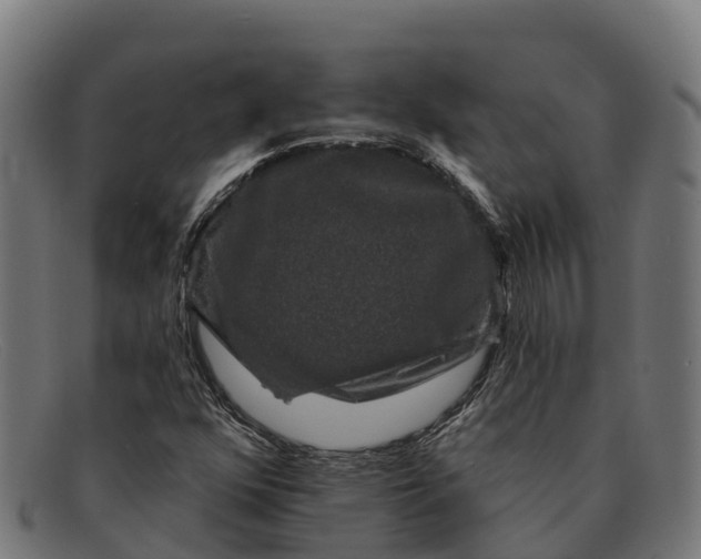 X0000091671352200709131521