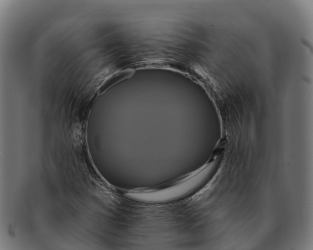 X0000091671353200709131521