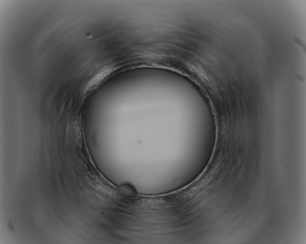 X0000091671354200709131521