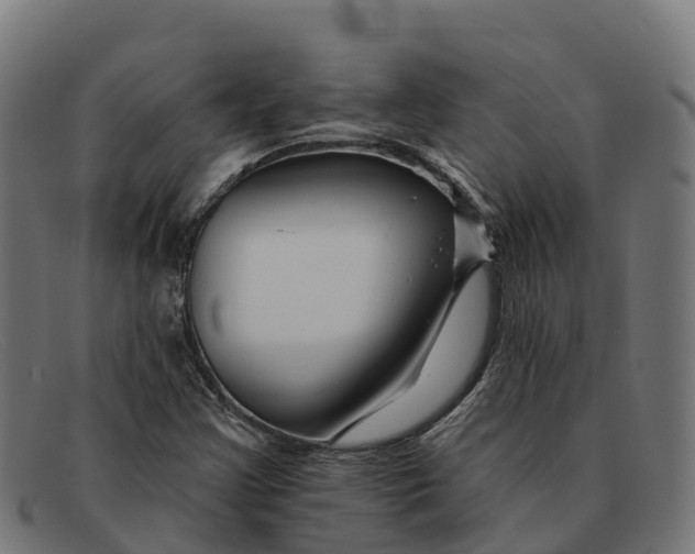 X0000091671355200709131521