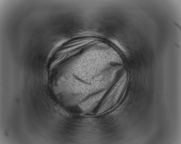 X0000091671358200709131521