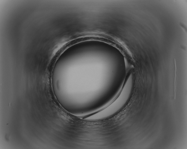 X0000091671360200709131521