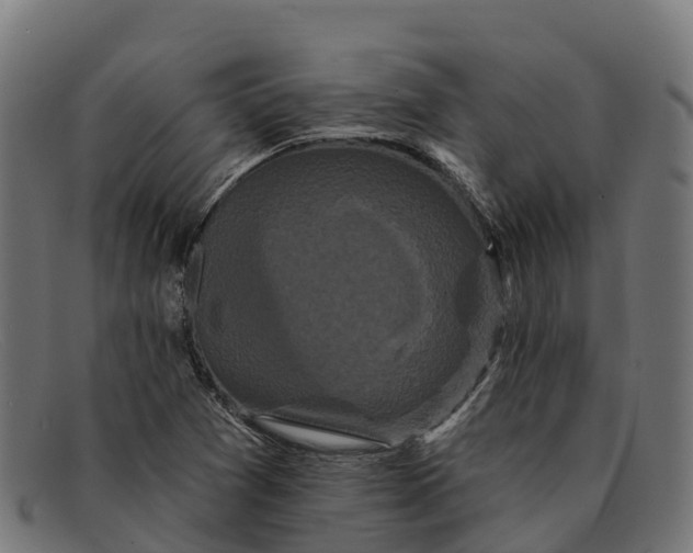 X0000091671361200709131521