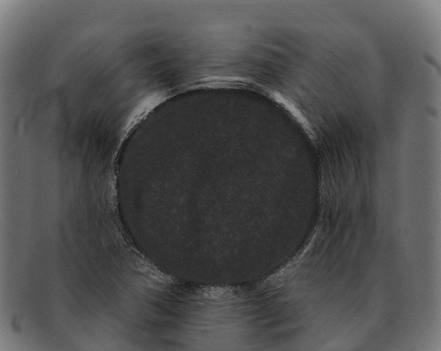 X0000091671362200709131521