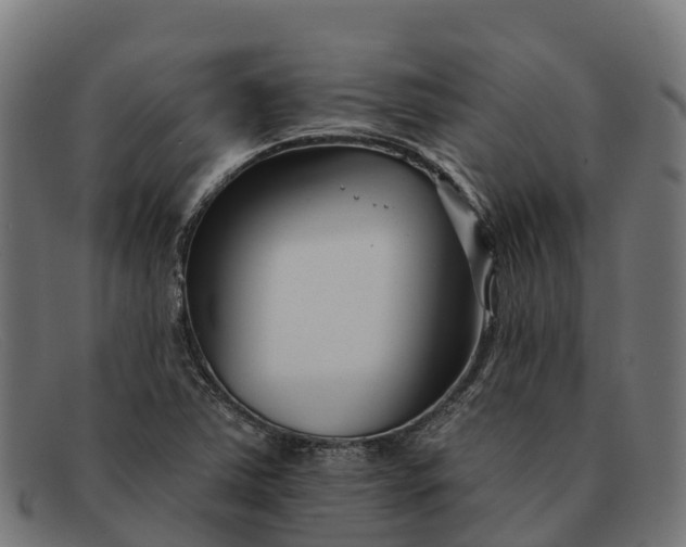 X0000091671363200709131521