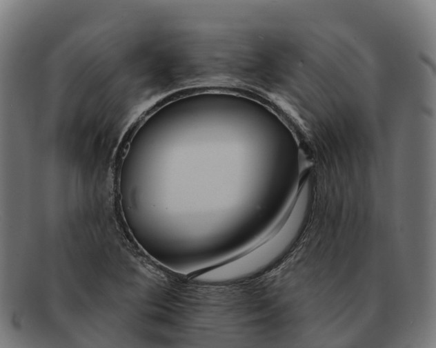 X0000091671364200709131521