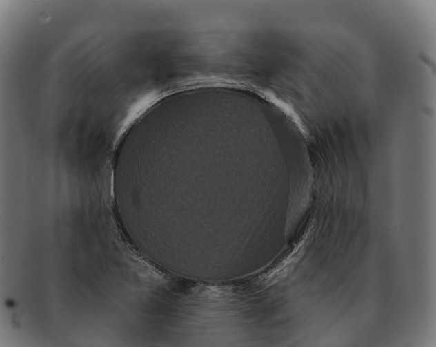 X0000091671365200709131521